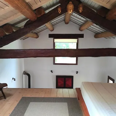 Porcaticcio, Ferienhaus Im Wald Mit Pool Apartment
