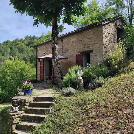 Porcaticcio, Ferienhaus Im Wald Mit Pool Casola Valsenio